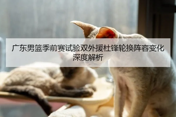 广东男篮季前赛试验双外援杜锋轮换阵容变化深度解析
